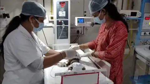 Baby Placed Living in the Country Fights for Her Life